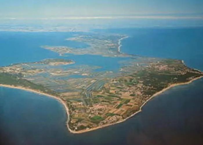 Maison Vue Ile De Re - - Raie Manta - Ile De Re - 4 - 2 Salles D Eau - 1 A 8 Personnes - A Pied * Rivedoux-Plage